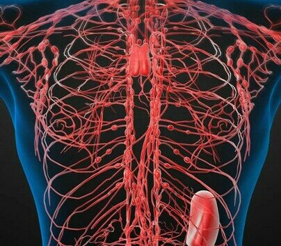 Zaoanxin Integrated Metabolic Health Assessment Service 