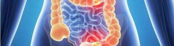 International Journal of Cancer | 前瞻性研究：与结直肠癌风险相关的血液代谢物